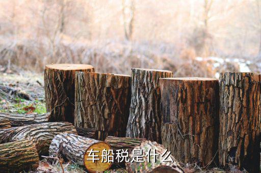 保險(xiǎn)的車船稅是什么意思，車船稅是什么