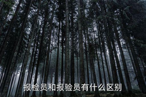 報(bào)驗(yàn)企業(yè)是什么意思，外埠納稅人經(jīng)營(yíng)地報(bào)驗(yàn)登記是什么意思