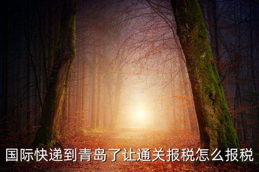 青島物流公司拿什么稅，國際快遞到青島了讓通關(guān)報(bào)稅怎么報(bào)稅