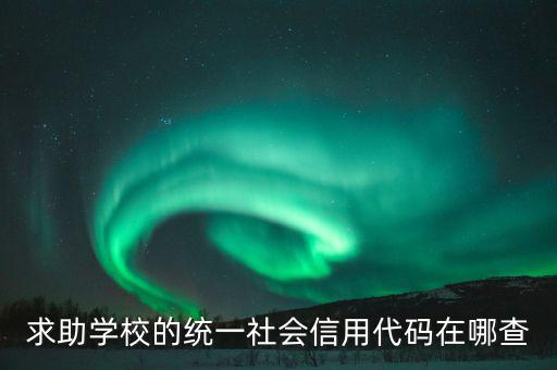學(xué)校的社會(huì)信用代碼是什么東西，求助學(xué)校的統(tǒng)一社會(huì)信用代碼在哪查