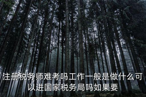 什么是稅務(wù)師，注冊稅務(wù)師能干什么待遇怎么樣