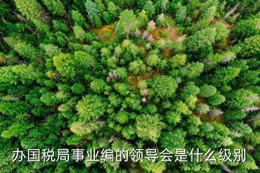 國稅局主任是什么職位，國稅局辦公室人員