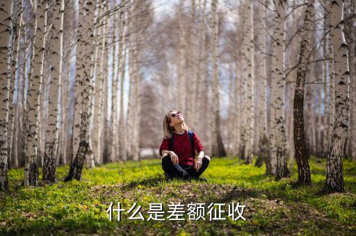 勞務(wù)費差額征稅是什么意思，差額稅是啥東西