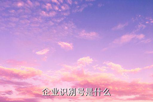 查詢公司什么納稅人識(shí)別號(hào)，納稅人識(shí)別號(hào)怎么查啊