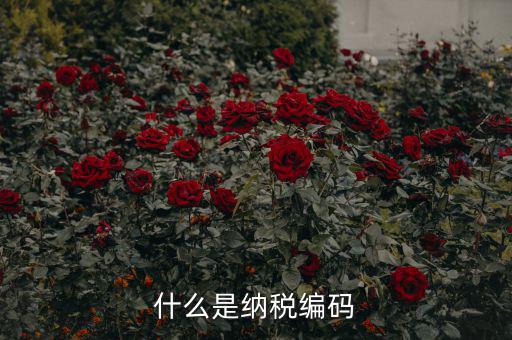 稅收編號(hào)是什么，什么是納稅編碼