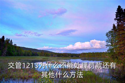 為什么不能催報處理，交管1213為什么不能處理罰款還有其他什么方法