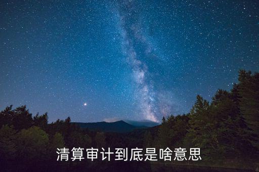 什么是申報清冊，電子稅務(wù)廳的重新獲取申報清冊是什么意思