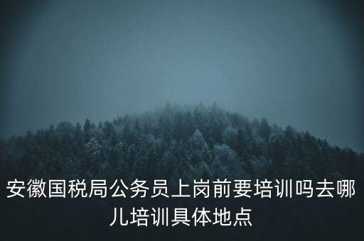 安徽國稅什么時候培訓，安徽省稅務(wù)學校還在嗎那里的教學樓宿舍和操場都還在嗎沒被拆