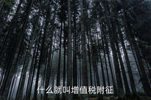 什么是增值稅及附加稅，什么就叫增值稅附征
