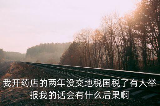 國稅舉報有什么后果，我開藥店的兩年沒交地稅國稅了有人舉報我的話會有什么后果啊