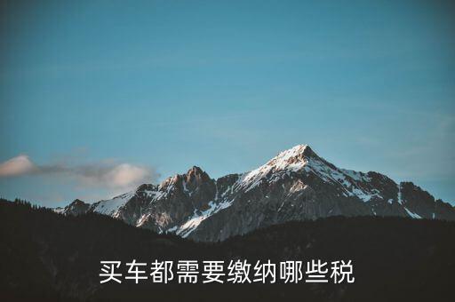 車輛納稅需要什么意思，車輛上路需要交什么稅