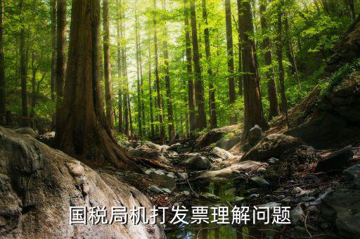 機(jī)打票是什么問題，個體工商戶開機(jī)打票的問題