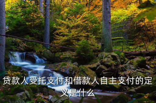 自主支出是什么，自主支出是什么意思求解釋