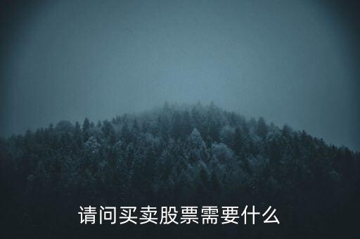 請(qǐng)問買賣股票需要什么