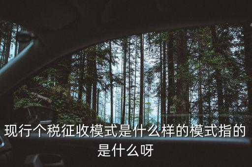 個(gè)人征稅系統(tǒng)是什么，你好補(bǔ)交個(gè)稅在稅局系統(tǒng)怎樣操作