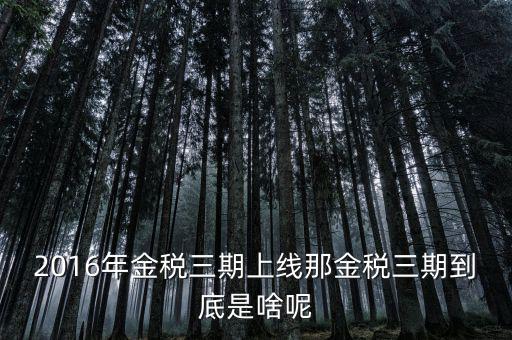 國稅金稅三期是什么意思，金稅三期是什么意思