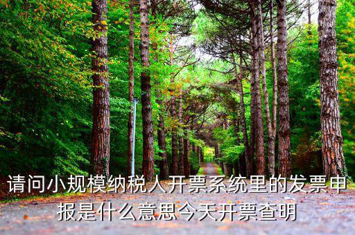 稅票申報(bào)是什么意思，納稅申報(bào)與申報(bào)納稅是一個(gè)意思嗎都是代理記賬的業(yè)務(wù)范疇嗎  搜