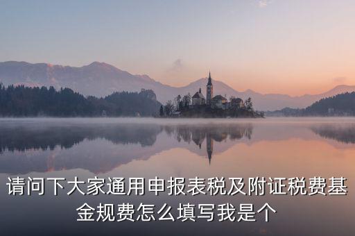通用申報(bào)基金規(guī)費(fèi)包括什么，請(qǐng)問下大家通用申報(bào)表稅及附證稅費(fèi)基金規(guī)費(fèi)怎么填寫我是個(gè)