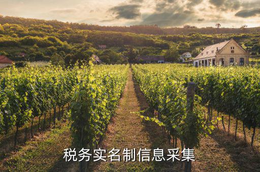 實(shí)名采集需要什么資料，實(shí)名制驗(yàn)證身份證信息采集有沒有這種身份證證件識(shí)別方式  搜