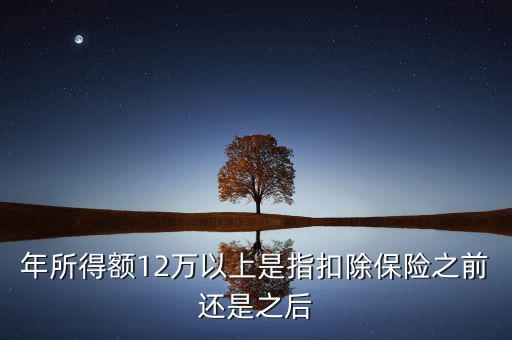 年所得12萬指的是什么，年所得12萬元以上是指什么