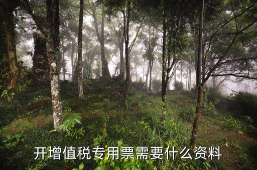稅務(wù)開專票需要什么資料，去開增值稅專用發(fā)票需要交什么資料