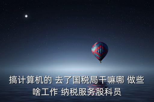 納服科是什么，搞計(jì)算機(jī)的 去了國(guó)稅局干嘛哪 做些啥工作 納稅服務(wù)股科員