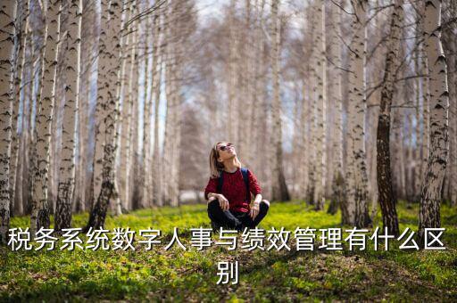 數(shù)字人事評是什么，稅務(wù)系統(tǒng)數(shù)字人事與績效管理有什么區(qū)別