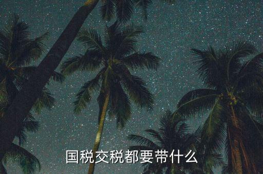 國(guó)稅錄指紋需要帶什么，國(guó)稅交稅都要帶什么