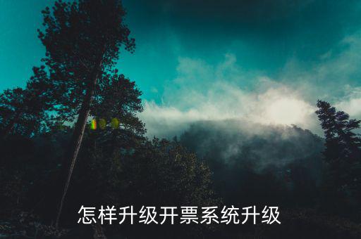 開票用什么軟件升級，怎樣升級開票系統(tǒng)升級