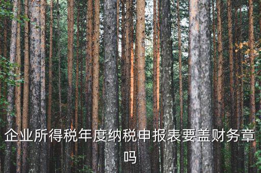 所得稅年報要蓋什么章，企業(yè)所得稅年度納稅申報表要蓋財務(wù)章嗎