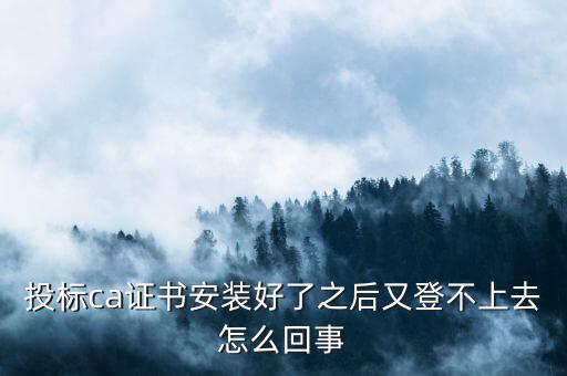 ca登陸不上是什么原因，登不上是怎么回事