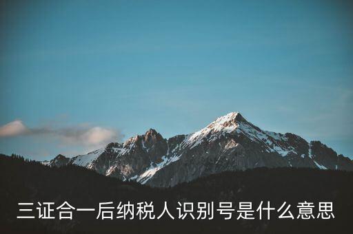 三證合一稅務(wù)識(shí)別號(hào)是什么意思，三證合一后納稅人識(shí)別號(hào)是什么意思