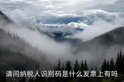 發(fā)票納稅人代碼是什么意思，請問納稅人識別碼是什么發(fā)票上有嗎