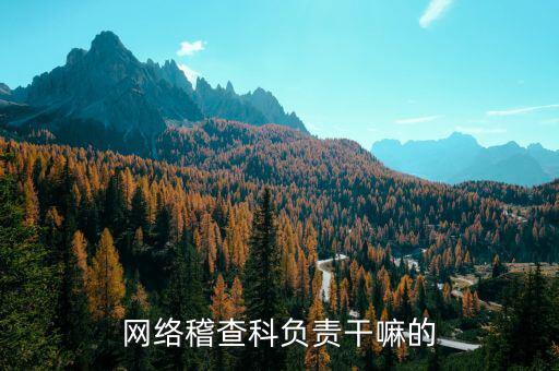 網(wǎng)絡稽查科負責干嘛的