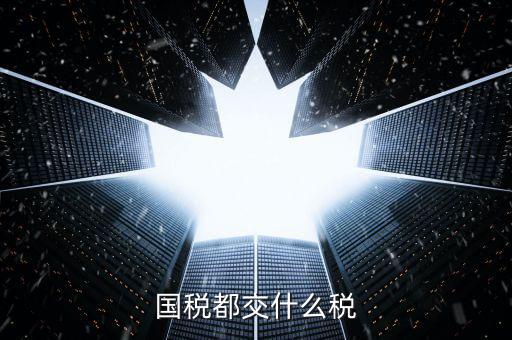國(guó)稅稅款是什么，國(guó)稅都交什么稅