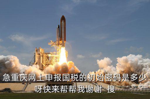 網(wǎng)上國稅申報(bào)的密碼是什么，急重慶網(wǎng)上申報(bào)國稅的初始密碼是多少呀快來幫幫我謝謝  搜