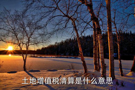 土地增值稅納稅清算什么意思，土地增值稅清算