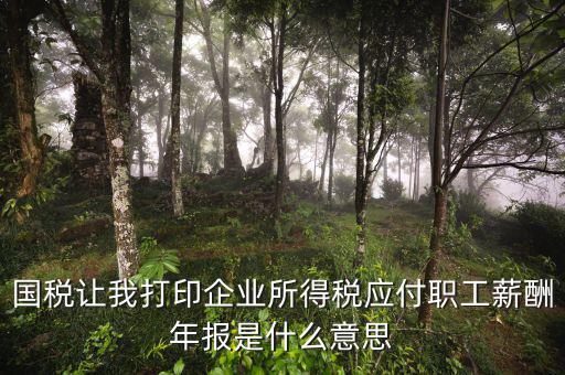 所得稅年報是什么意思，企業(yè)所得稅年報是什么意思怎么報去年4個季度都報了呀我是