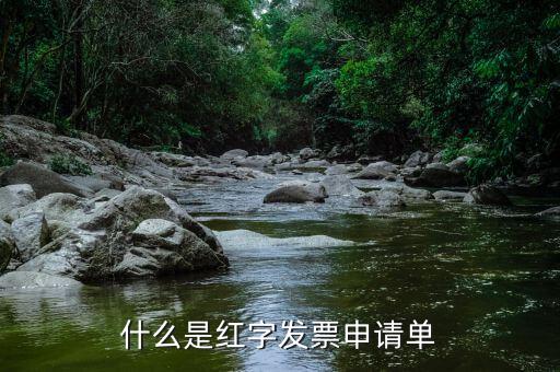 紅字申請單是什么意思，由銷售方申請開具紅字發(fā)票是什么意思