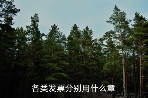 發(fā)票退票申請蓋什么章，銀行的退票申請書加蓋公章還是財務(wù)章