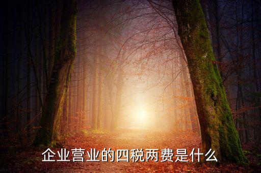 國(guó)稅的兩費(fèi)是什么，什么是一稅兩費(fèi)申報(bào)