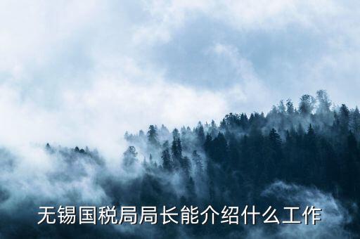 無(wú)錫地稅局長(zhǎng)接待日是什么，無(wú)錫國(guó)稅局局長(zhǎng)能介紹什么工作