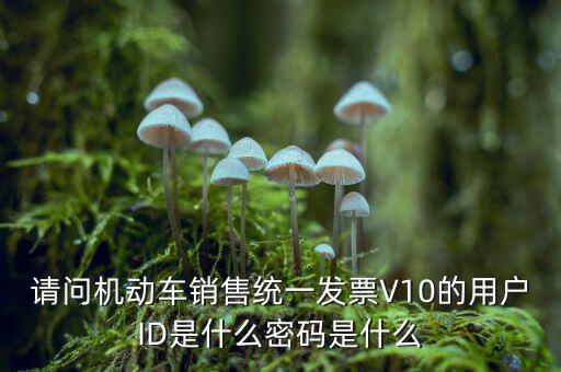 發(fā)票登錄密碼是什么，國稅局發(fā)票軟件里用戶代碼和密碼是什么