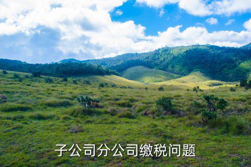 子公司繳稅在什么地方，子公司分公司繳稅問題