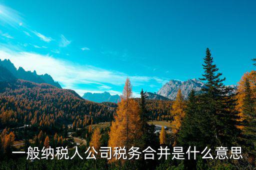 什么是合并納稅企業(yè)所得稅，企業(yè)合并是否繳納企業(yè)所得稅