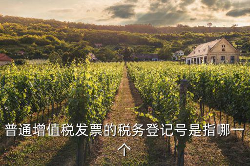 什么是增值稅登記號(hào)碼，增值稅登記號(hào)