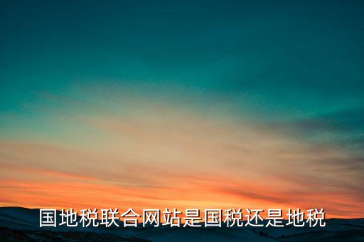 國地稅聯(lián)合辦稅是什么意思，國地稅聯(lián)合稅費申報什么意思