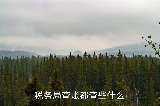 稅務(wù)局查稅一般查什么，請(qǐng)問(wèn)一下老師一般稅務(wù)局人來(lái)查帳一般查什么的