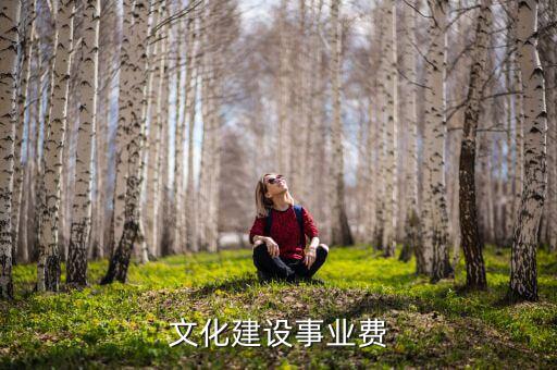 什么是文化事業(yè)建設(shè)稅，文化建設(shè)事業(yè)費(fèi)