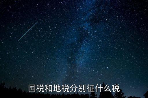 國(guó)稅地稅分別報(bào)什么稅，國(guó)稅和地稅局分別要交哪些稅和報(bào)表